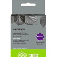 CACTUS CS-TZES251